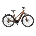 KTM MACINA STYLE 720 ABS Trapez 750 | Trekking-E-Bike | Eiche matt