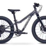 Academy Trail 4 R 20 Zoll Mountainbike Space (2027)