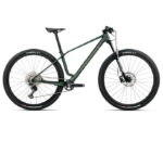 ALMA M50 MTB Hardtail 29 Zoll Seaweed Carbon View (Matt-Gloss) (2026)