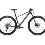 ALMA M50 MTB Hardtail 29 Zoll Seaweed Carbon View (Matt-Gloss) (2026)