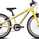 COADY 20 SL 20 Zoll Jugend-Mountainbike lemon (2026)