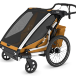 Kinderanhänger Sport 2 Double natural gold