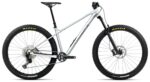 LAUFEY H10 MTB Hardtail 29 Zoll Smooth Silver (Matt) Titanium (Gloss) (2026)