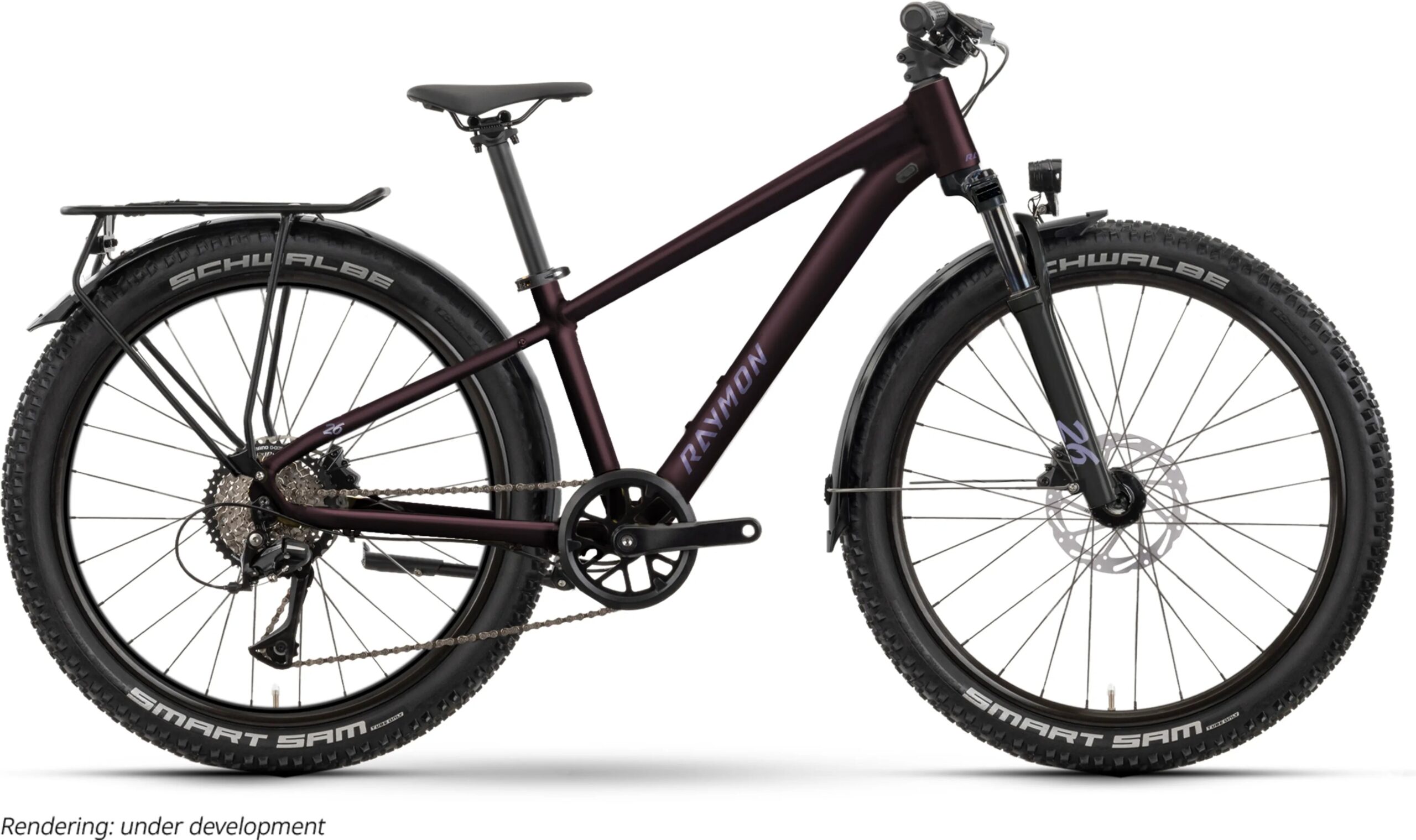 nayta-26-pro-street-mtb-hardtail-26-zoll-floridplum-2026-1-scaled-1.jpg Nayta 26 Pro Street MTB Hardtail 26 Zoll floridplum (2026) – Bild 1