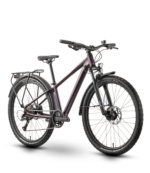 Nayta 26 Pro Street MTB Hardtail 26 Zoll floridplum (2026) – Bild 2