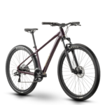 Nayta 29 Zoll MTB Hardtail floridplum/sulfur (2026)