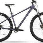 Nayta Comp MTB Hardtail 27,5/29 Zoll aubergine/black (2026)