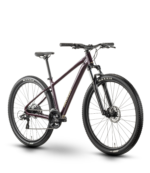 Nayta MTB Hardtail 29 Zoll Floridplum/Sulfur (2026)