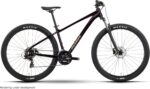 Nayta MTB Hardtail 29 Zoll Floridplum/Sulfur (2026) – Bild 2