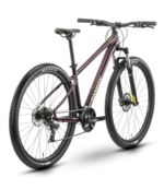 Nayta MTB Hardtail 29 Zoll Floridplum/Sulfur (2026) – Bild 3