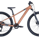 Roxter 600 26 Zoll Jugend-MTB alloy brown (2026)