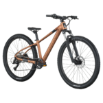 Roxter 600 26 Zoll Jugend-MTB alloy brown (2026) – Bild 5