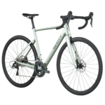 Speedster 20 Rennrad reseda green (2026) – Bild 2